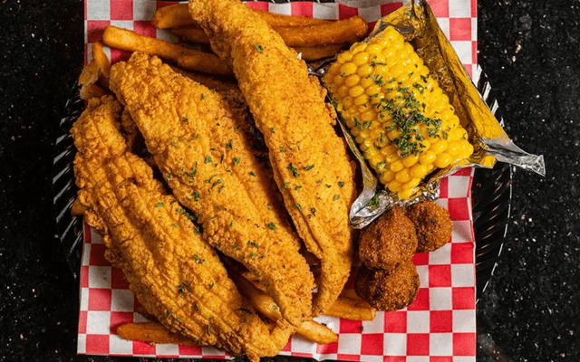 Fish Plate
